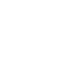 Wealth Icon